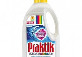 Praktik