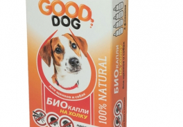 Good Dog