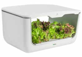 VegeBox