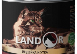 Landor