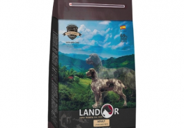 Landor