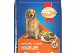SmartHeart