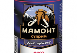 Мамонт