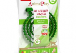 Animal Play