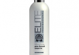 Elite