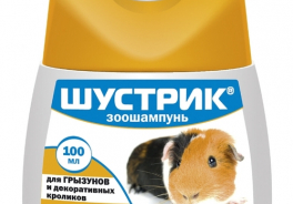 Шустрик