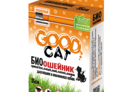GOOD Cat