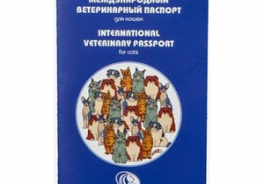 Сорсо-СТР