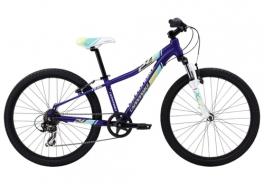 Cannondale