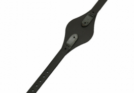 FOSSIL
