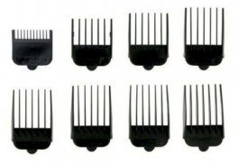 Wahl