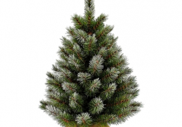 Triumph Tree