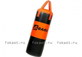 Барс