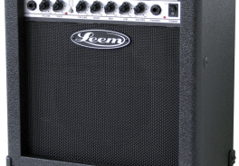 LEEM