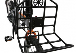 Dahon