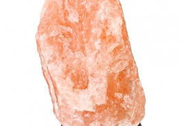 ZENET