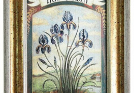 Iris