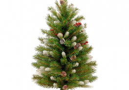 National Tree Company