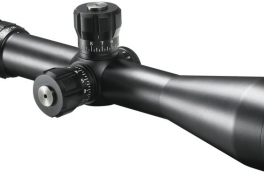 Bushnell