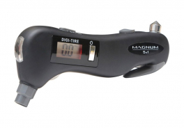Magnum
