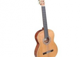 Fernandes Guitars