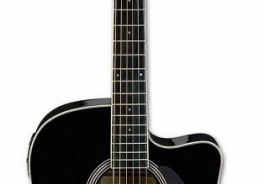 Ibanez