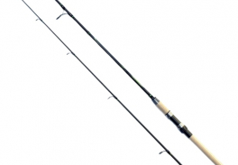 Salmo