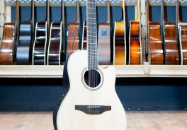 Ovation