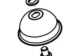 Santos