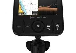 Raymarine