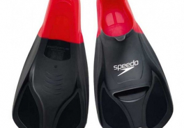 Speedo