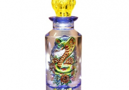 Christian Audigier