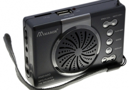 Mason