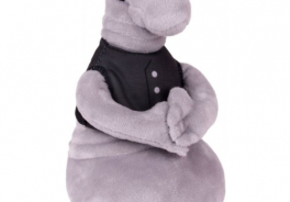 Gulliver