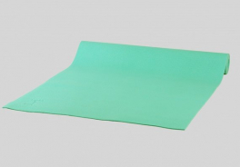 Yogin
