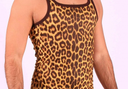 Modus Vivendi