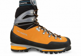 Scarpa