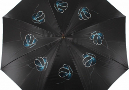 Happy Rain