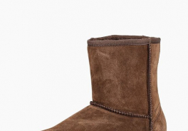 Bearpaw