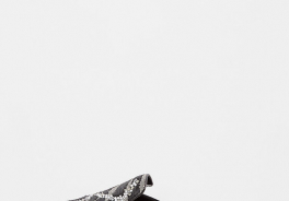 MaxMara