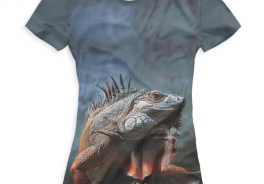 Iguana