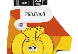 Ventura