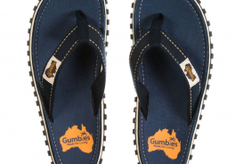 Flip Flop