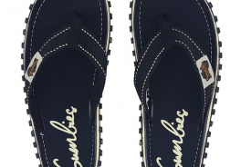 Flip Flop