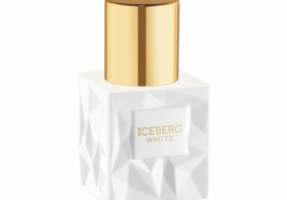 Iceberg