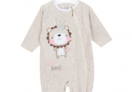 Koala Baby