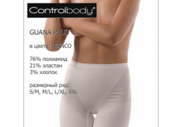 Controlbody
