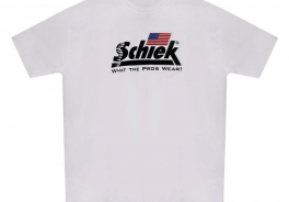 Schiek