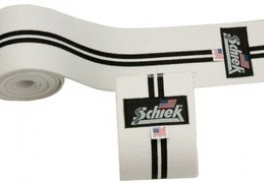 Schiek