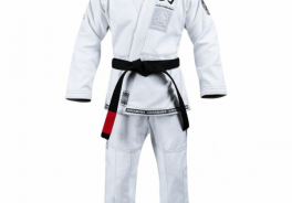 Hayabusa